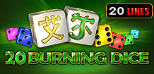 20 Burning Dice