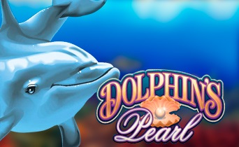 Dolphins Pearl