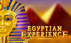 Egypt Experience