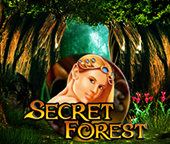 Secret Forest